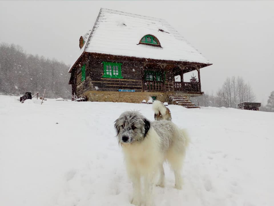 Crăciunul la Casa Glod – o poveste pe care o trăiești cu sufletul