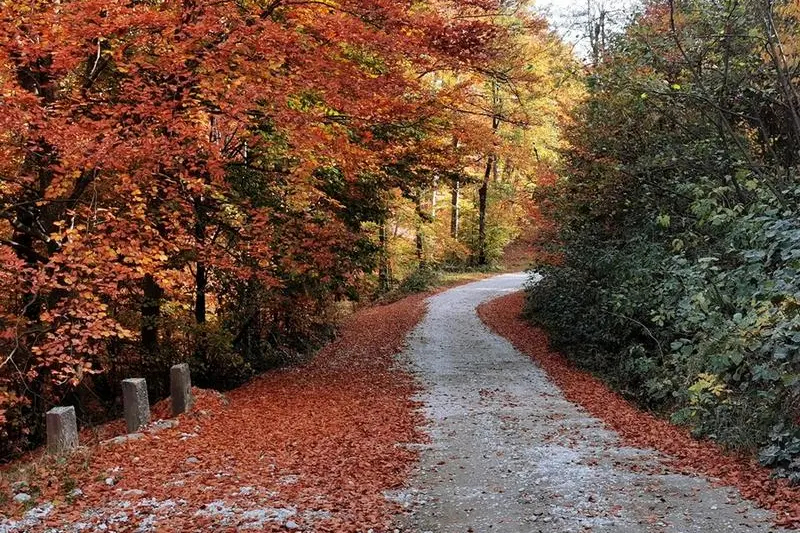Toamna la Casa Glod, farmecul satului autentic