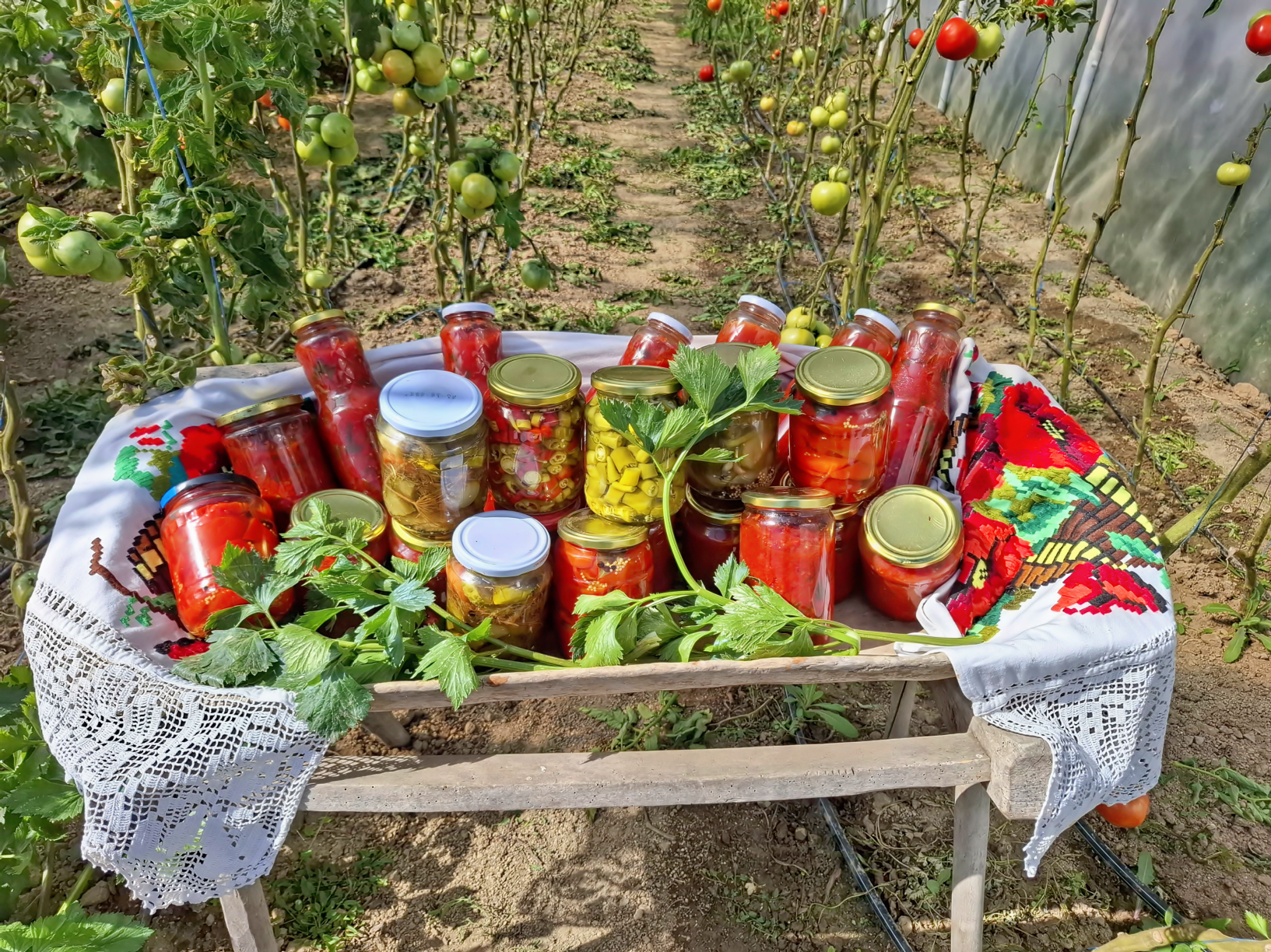 Culorile toamnei și liniștea satului